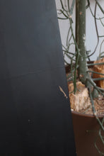 Load image into Gallery viewer, 1960's Sculptural Serpentine Lamp By Modeline