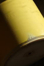 Load image into Gallery viewer, Yellow Gainey Planter