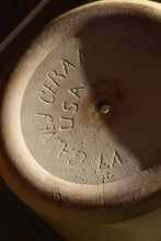 Load image into Gallery viewer, Yellow Gainey Planter