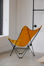 Load image into Gallery viewer, Y2K Folding Canvas Butterfly Chair