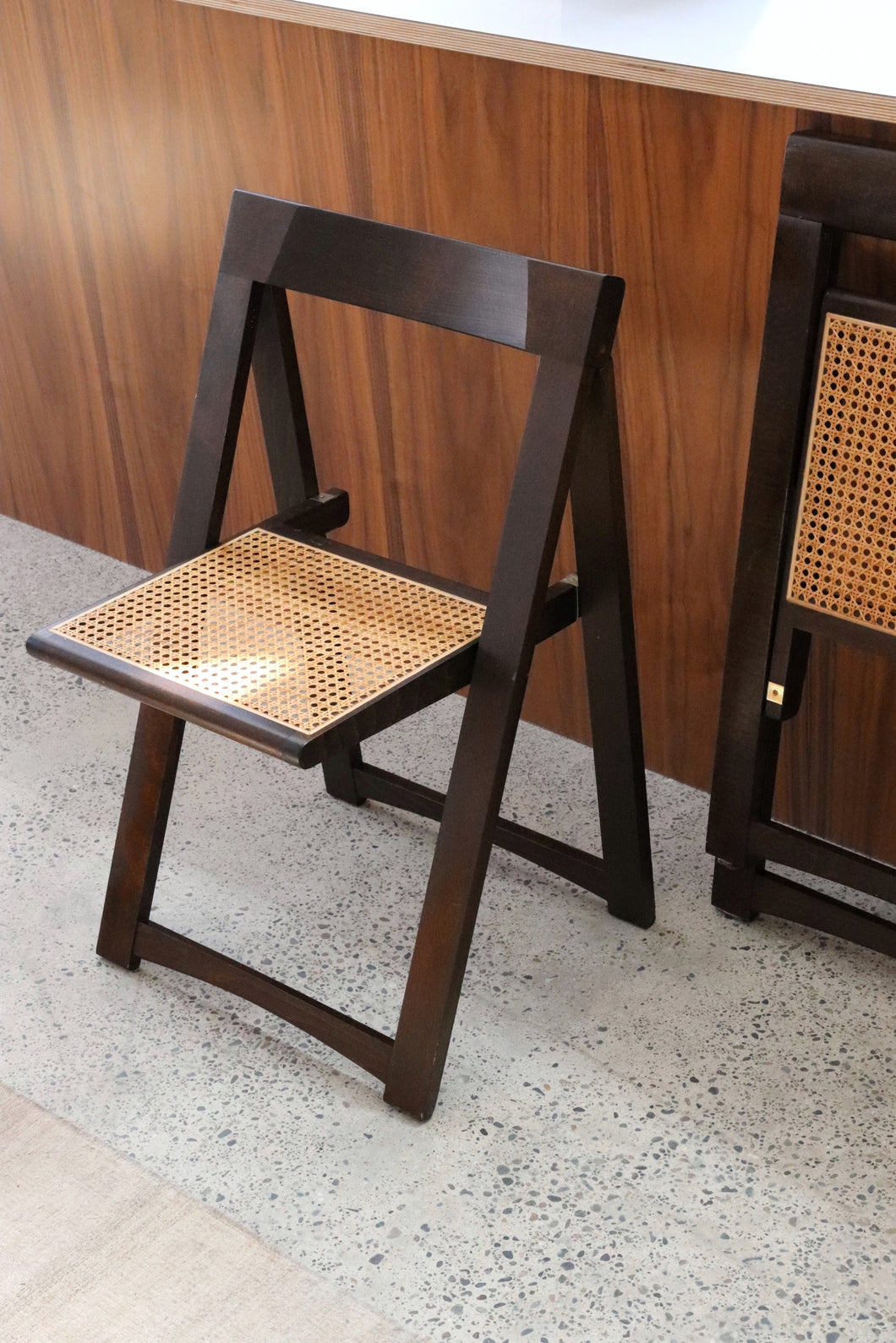 Mid Century Cane Folding Chairs - Pair
