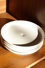 Load image into Gallery viewer, 2009 DWR "GRANITE" Plates
