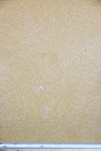 Load image into Gallery viewer, 1950's DAX Eames Fiberglass Chair
