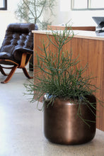 Load image into Gallery viewer, Copper Finish Cylinder Planter By Paul Mayen
