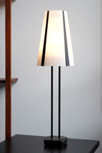 Load image into Gallery viewer, IKEA &quot;VISTOFTA&quot; Iron &amp; Plastic Lamp

