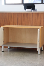 Load image into Gallery viewer, 2005 IKEA &quot;Effektiv&quot; Cabinet
