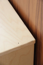 Load image into Gallery viewer, 2005 IKEA &quot;Effektiv&quot; Cabinet
