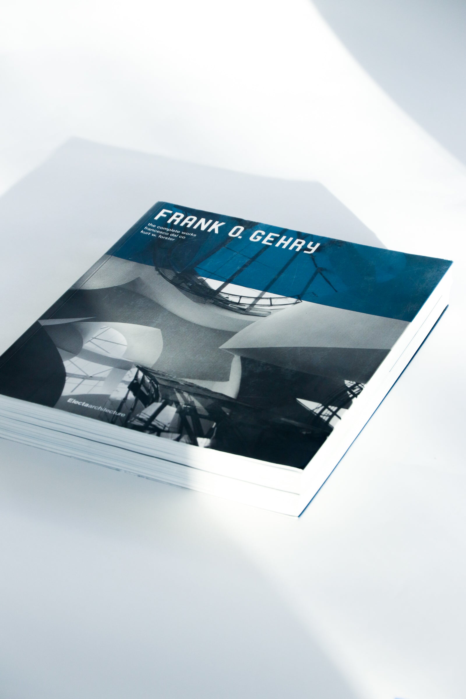 Frank O. Gehry: The Complete Works – In The Comfort Of