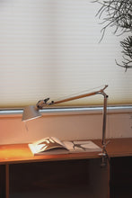 Load and play video in Gallery viewer, "Tolomeo" Clamp Lamp By Artemide
