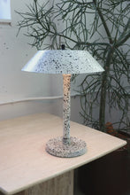 Load and play video in Gallery viewer, Speckled Enamel Adjustable Lamp
