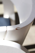 Load image into Gallery viewer, Pair Of Space Age Bentwood Chairs
